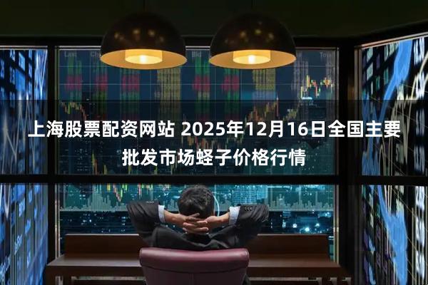 上海股票配资网站 2025年12月16日全国主要批发市场蛏子价格行情