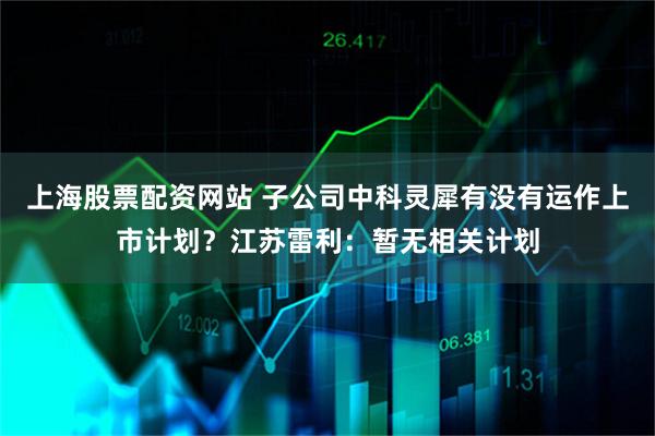 上海股票配资网站 子公司中科灵犀有没有运作上市计划？江苏雷利：暂无相关计划